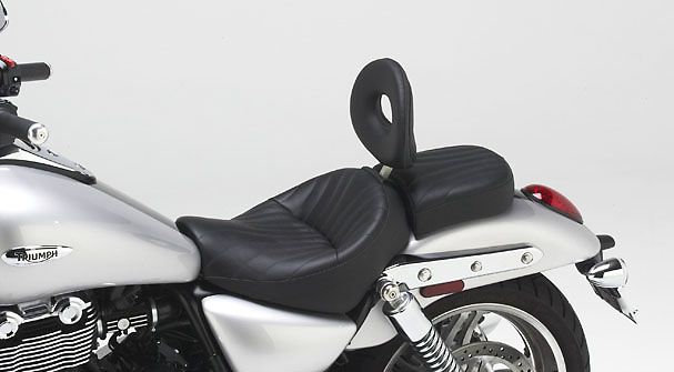 Triumph Thunderbird & Thunderbird Storm