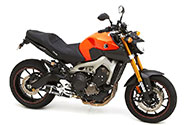FZ Models