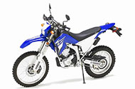 WR 250 X