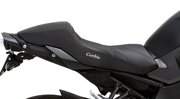 Yamaha FZ-10